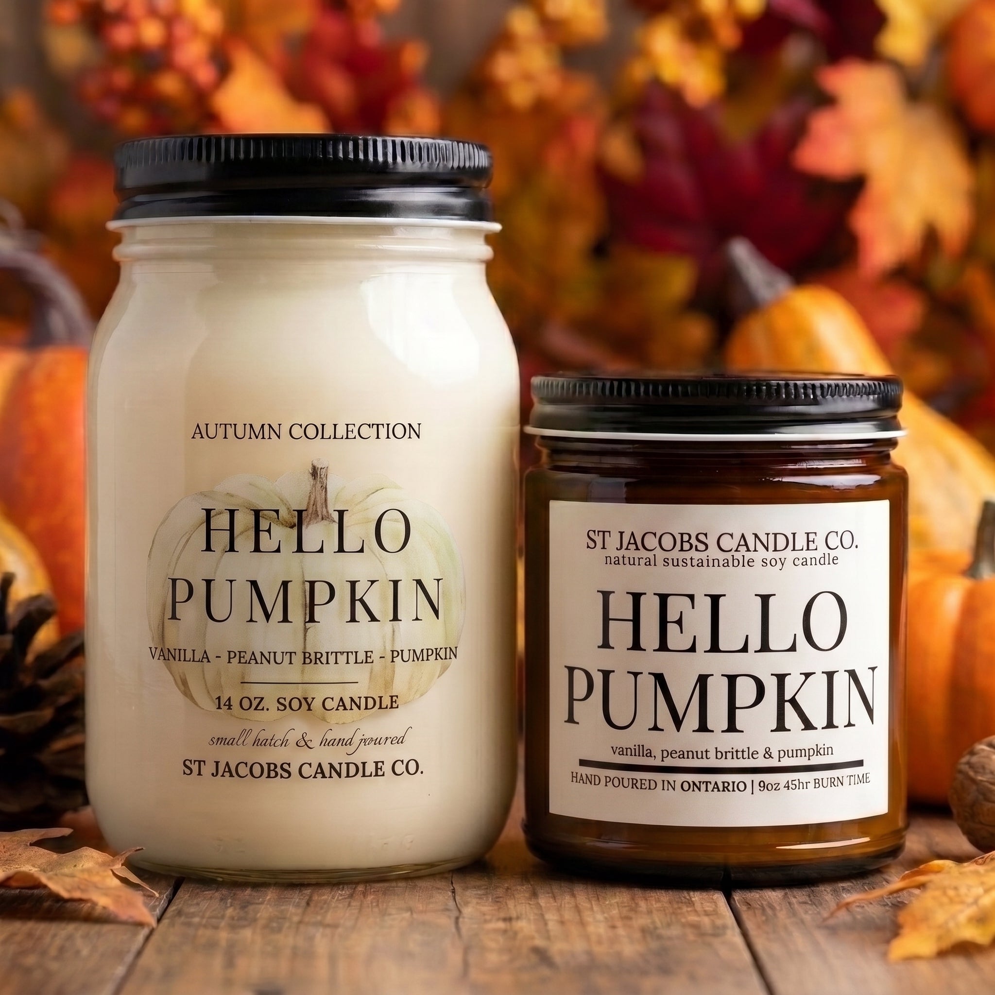 Hello Pumpkin Soy Candle